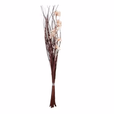 Bouquet de fleurs séchées 100cm