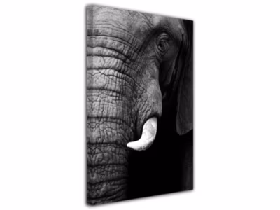 DECLINA, Tableau toile imprimée, animaux, Tableau original éléphant , 50×80 cm