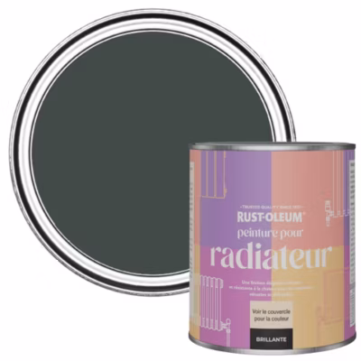 Peinture Verte pour Radiateur, Finition Brillante – RUST-OLEUM – After Dark 750ml