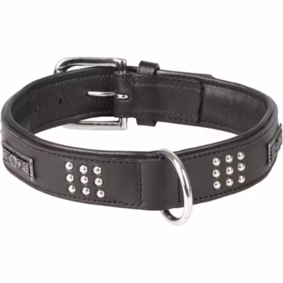Collier Cuir SEDONA noir taille L 43-50 cm pour chien