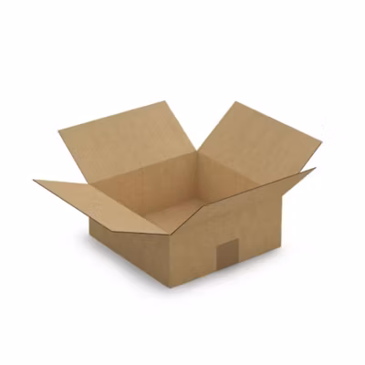 Carton d’emballage 25 x 25 x 10 cm – Simple cannelure