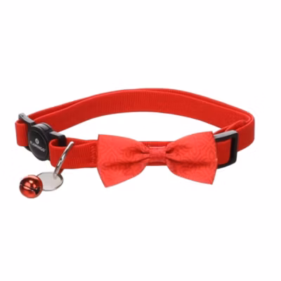 Collier avec nœud Castor Rouge 20 a 35 cm pour chat
