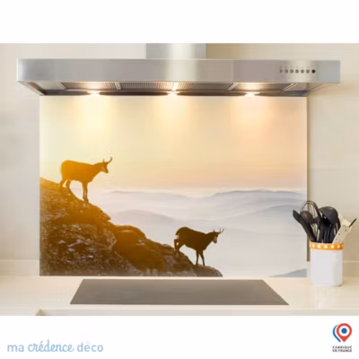 Crédence cuisine fond de hotte Chamois – Verre trempé – L 60 cm x H 45 cm – MaCrédenceDéco