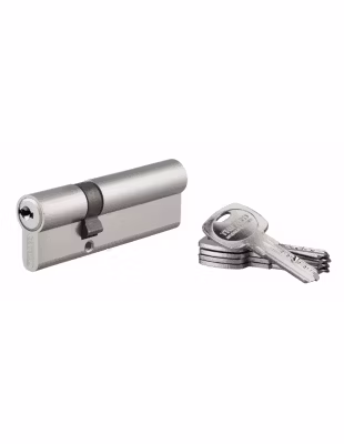 Cylindre de serrure double entrée Trafic 6, 30x60mm, nickel, anti-arrachement, anti-perçage, 5 clés – THIRARD