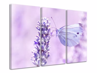 DECLINA, Tableau toile imprimée, animaux, Tableau décoratif papillon bleu, 120×80 cm