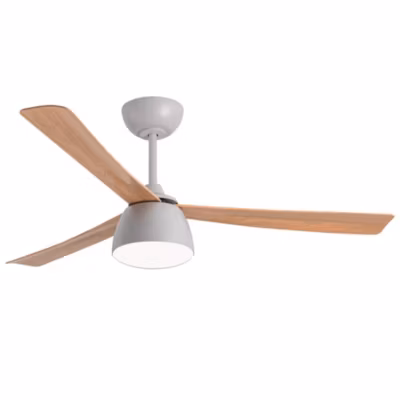 Ventilateur de plafond avec lumière et Wi-Fi