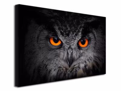 DECLINA, Tableau toile imprimée, animaux, Tableau toile murale Hibou, 50×30 cm