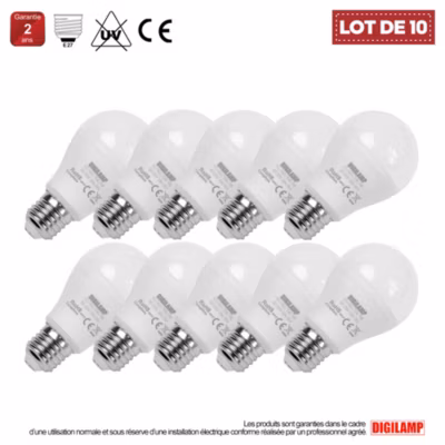 Lot de 10 Ampoule LED E27 A60 10W Blanc Froid 6000K