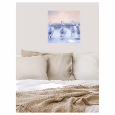 Poster intissé chevaux LIBERTE 40 x 40 cm – Décoration intérieure HD